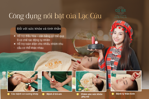 Lạc Cứu luôn được đánh giá cao nhờ khả năng hỗ trợ điều hòa tổng thể