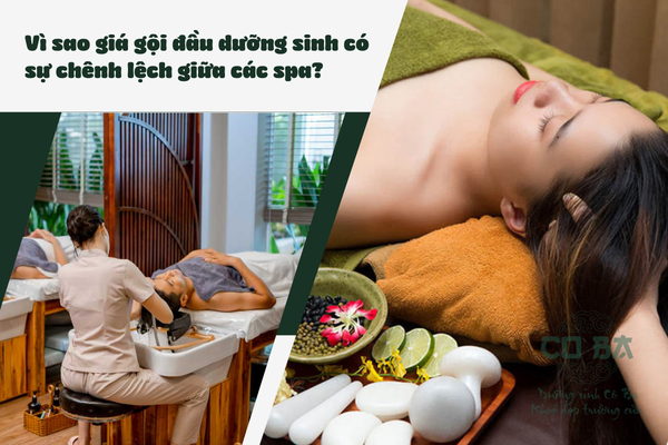 Vì sao giá gội đầu dưỡng sinh có sự chênh lệch giữa các spa