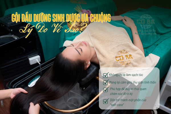 Lý do vì sao gội đầu dưỡng sinh ngày càng được ưa chuộng tại Việt Nam?